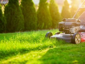 Lawn Care - Shelly Property Service